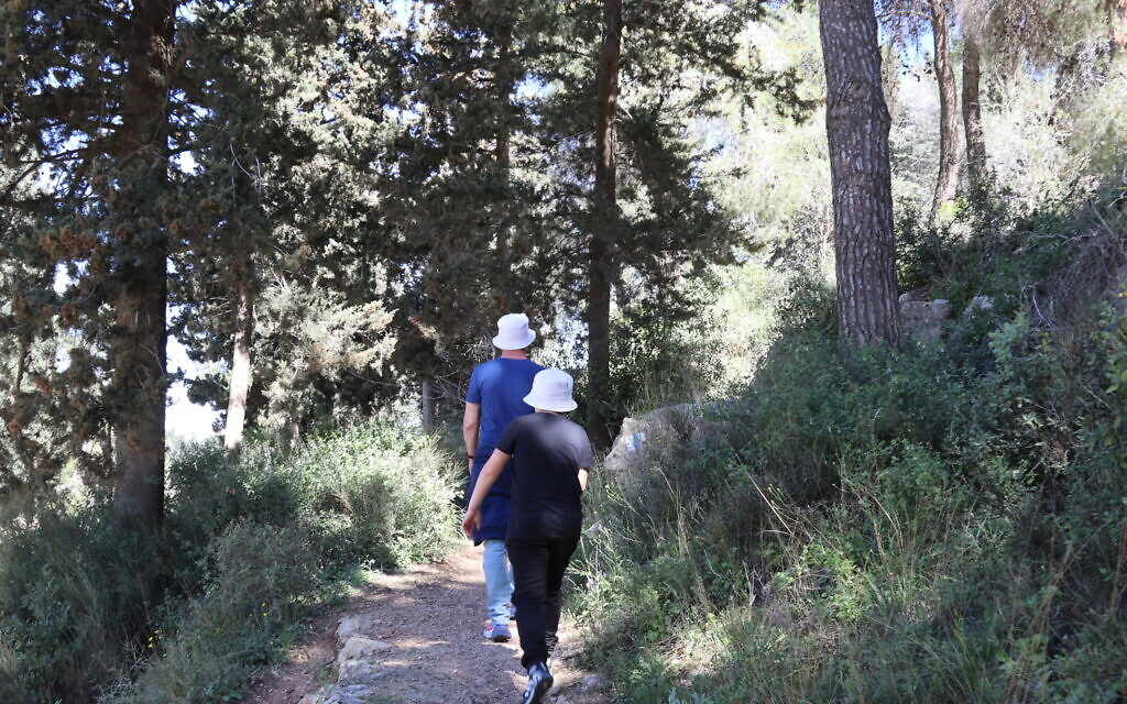 Walking the Cedar Trail in the Jerusalem Forest. (Shmuel Bar-Am)