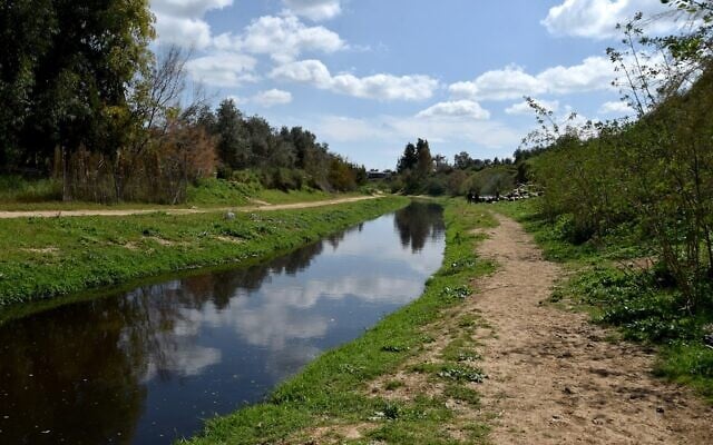 A cleaned-up section of Wadi Gaza. (UNDP/PAPP image bank -- Shareef Sarhan) A cleaned-up section of Wadi Gaza. (UNDP/PAPP image bank -- Shareef Sarhan)