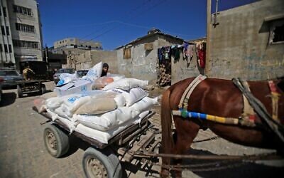 A Palestinian loads a cart with food aid provided by the UN's World Food Programme, in the Gaza Strip's al-Shati refugee camp, May 15, 2019. (MOHAMMED ABED / AFP/ File)