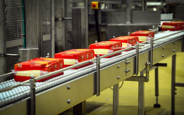 Cheese production at the Tnuva Tel Yosef dairy plant, December 21, 2015 (Yossi Zeliger/FLASH90) Cheese production at the Tnuva Tel Yosef dairy plant, December 21, 2015 (Yossi Zeliger/FLASH90)