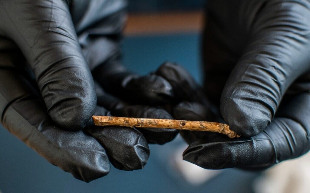 The tiny finger holes drilled with talons at regular intervals in the 12,000-year-old flute discovered in northern Israel (Hamoudi Khalaily/IAA)