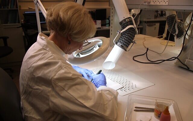 Experts cleaning the 2,000-year-old coin  from the Jewish revolt that was part of an underground Jewish economy. (Emil Aladjem/IAA)