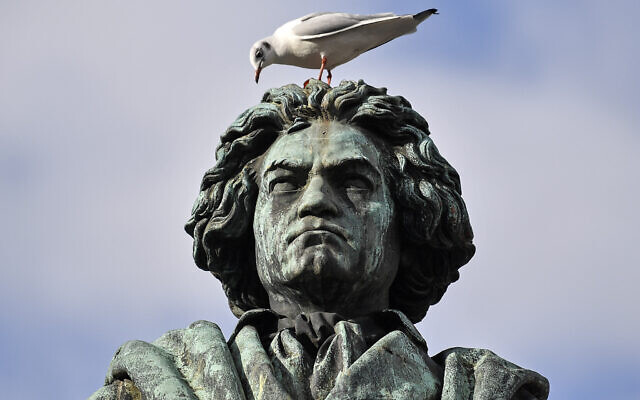 A bird sits on a monument of composer Ludwig van Beethoven in Bonn, Germany, Wednesday, Feb. 19, 2020. (AP Photo/Martin Meissner) A bird sits on a monument of composer Ludwig van Beethoven in Bonn, Germany, Wednesday, Feb. 19, 2020. (AP Photo/Martin Meissner)