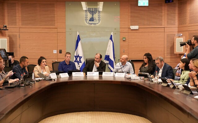 The Knesset Constitution, Law and Justice Committee deliberates a bill to severely limit the courts' use of the reasonableness judicial standard, July 17, 2023. (Danny Shem Tov/Knesset Spokesperson's Department)