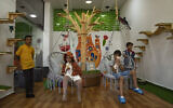 Palestinian children enjoy the company of cats on the opening day of Meow Cafe in Gaza City, August 17, 2023. (AP/Fatima Shbair)