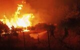 Firefighters try to extinguish the flames in a forest in Avantas village, near Alexandroupolis town, in the northeastern Evros region, Greece, Monday, Aug. 21, 2023. (AP Photo/Achilleas Chiras)