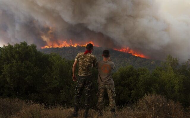 Flames burn a forest during wildfires near the village of Sykorrahi, near Alexandroupolis town, in the northeastern Evros region, Greece, Aug. 23, 2023. (AP Photo/Achilleas Chiras)