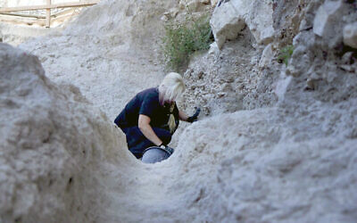 An archaeologist works in ancient channels discovered in the City of David, Jerusalem, August 2023. (Emil Aladjem/IAA)