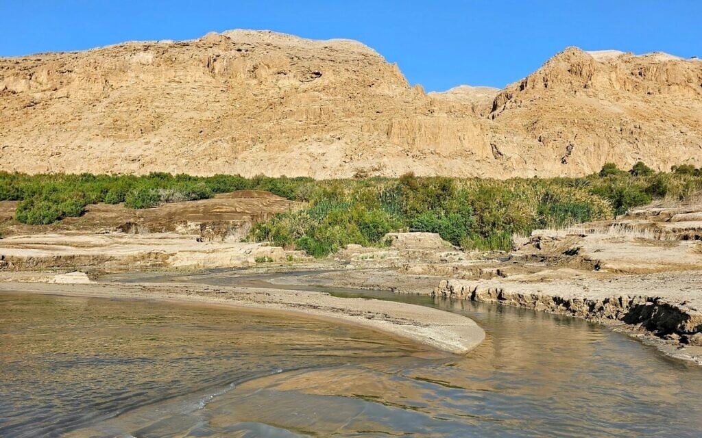 The Dead Sea has lost 40% of its volume in recent decades. (Noam Bedein via JTA)