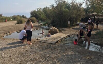 An undated photo of visitors bathe in one of the pools of the Einot Tsukim oasis in the Judean Desert. (Courtesy of the Israel Nature and Parks Authority) An undated photo of visitors bathe in one of the pools of the Einot Tsukim oasis in the Judean Desert. (Courtesy of the Israel Nature and Parks Authority)