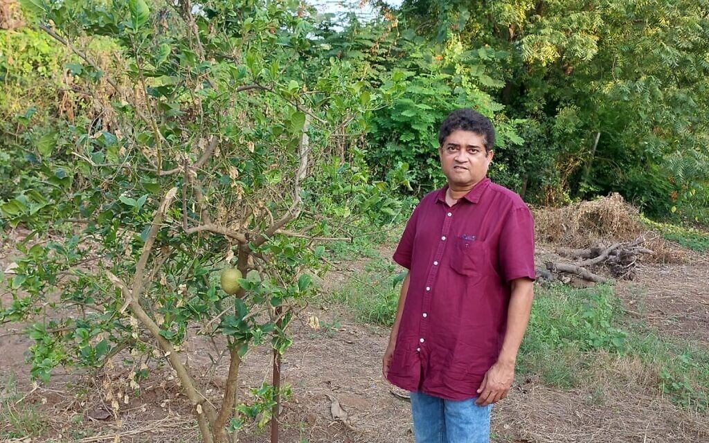 Austin Haeems with his etrog trees in Ahmedabad, India. (Courtesy of Haeems/via JTA)