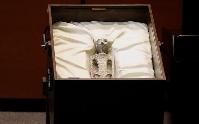 A handout picture released by the press office of the Mexican Congress shows an alleged body of a 'non-human' being exhibited at the Mexican Congress in Mexico City on September 12, 2023. (Handout / Mexico's Congress / AFP) A handout picture released by the press office of the Mexican Congress shows an alleged body of a 'non-human' being exhibited at the Mexican Congress in Mexico City on September 12, 2023. (Handout / Mexico's Congress / AFP)