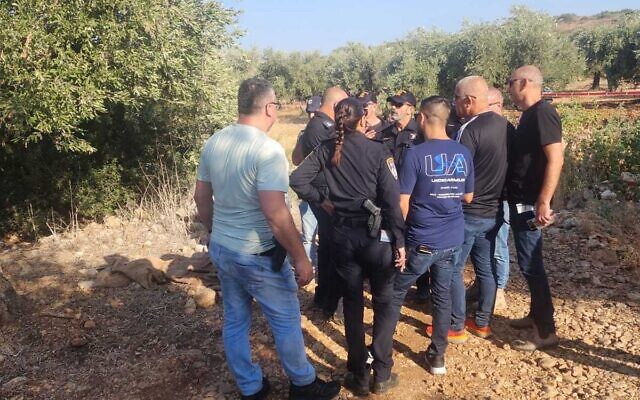 Officers investigate a double homicide in an olive grove near Abu Snan, September 6, 2023. (Police spokesperson) Officers investigate a double homicide in an olive grove near Abu Snan, September 6, 2023. (Police spokesperson)