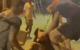 Screen capture from video of a gang of youths attacking a teenager in a Petah Tikva park, September 2023. (X. Used in accordance with Clause 27a of the Copyright Law)