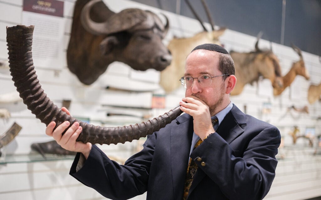Natan Slifkin, director of the Biblical Museum of Natural History, with one of the many shofars from the museum collection ahead of Rosh Hashanah 2023 (Courtesy PR) Natan Slifkin, director of the Biblical Museum of Natural History, with one of the many shofars from the museum collection ahead of Rosh Hashanah 2023 (Courtesy PR)