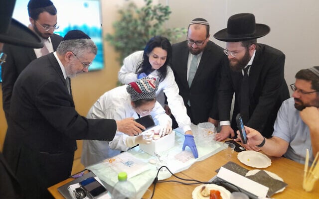 Orthodox Union's Rabbi Menachem Genack, left, visits Israeli startup SuperMeat as part of the company's kosher certification process. (Courtesy/SuperMeat) Orthodox Union's Rabbi Menachem Genack, left, visits Israeli startup SuperMeat as part of the company's kosher certification process. (Courtesy/SuperMeat)