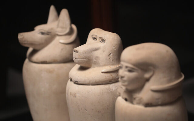 Illustrative: Canopic jars from Egypt, which were used to bury mummified organs, are displayed at the Field Museum on March 13, 2018 in Chicago. (Scott Olson/Getty Images/AFP) Illustrative: Canopic jars from Egypt, which were used to bury mummified organs, are displayed at the Field Museum on March 13, 2018 in Chicago. (Scott Olson/Getty Images/AFP)
