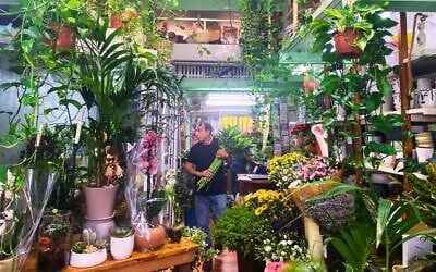 Shlomo Marmor at the flower shop on Yehuda Halevi Street in Tel Aviv that his family has owned for 70 years. September 2023. (Shoshanna Solomon / The Times of Israel)