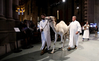 People take part in the Procession of Animals before the Blessing of the Animals during the St. Francis Day Service at the Cathedral of St. John the Divine in New York City on October 1, 2023. (Leonardo Munoz/AFP)