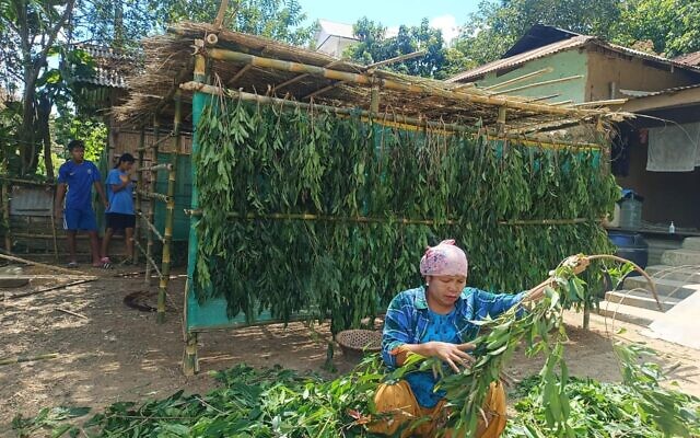A member of the Bnei Menashe community in northeastern India works to construct a temporary structure used in celebrating Sukkot. (Courtesy Shavei Israel via JTA)