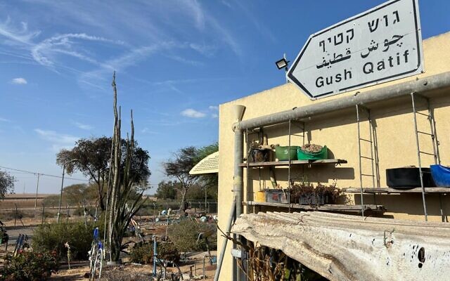 Plants adjacent to the destroyed Lifschitz family home, Kibbutz Nir Oz, October 30, 2023. (Carrie Keller-Lynn / The Times of Israel) Plants adjacent to the destroyed Lifschitz family home, Kibbutz Nir Oz, October 30, 2023. (Carrie Keller-Lynn / The Times of Israel)