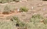 A video appears to show Israeli West Bank settlers in an incident near Nablus in which Palestinians say a settler shot dead a Palestinian olive farmer, October 28, 2023 (video screenshot)