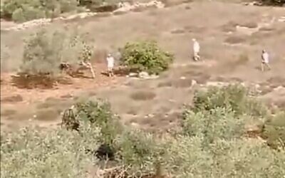 A video appears to show Israeli West Bank settlers in an incident near Nablus in which Palestinians say a settler shot dead a Palestinian olive farmer, October 28, 2023 (video screenshot)