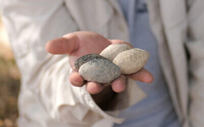 Ancient slingstones used for warfare 7200 years ago in Israel. (Emil Aladjem/Israel Antiquities Authority)