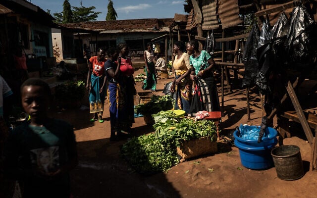 Women sell vegetables in a local market in Kaliyeka in Lilongwe, Malawi on February 22, 2023. (Fredrik Lerneryd/AFP) Women sell vegetables in a local market in Kaliyeka in Lilongwe, Malawi on February 22, 2023. (Fredrik Lerneryd/AFP)