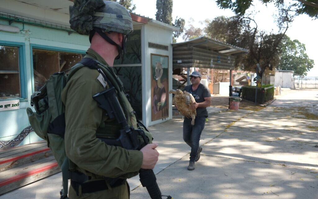 Under armed guard, an African spurred tortoise is evacuated from Kibbutz Be'eri on the Gaza border, southern Israel, October 13, 2023. (Hadar Moran, for the Israel Nature and Parks Authority)