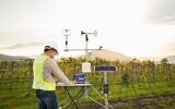 Illustrative. An agronomist with equipment to measure the wind speed, temperature, humidity, and solar cell system in a field of grapevines. (Kinwun, iStock by Getty Images)