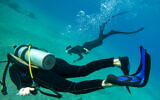 This underwater photograph taken on December 26, 2023, shows Yamit Avital and her husband Benny, who are among the survivors from Kibbutz Nir Oz, taking part in a free diving session offered to evacuated Israelis and survivors of the October 7 Hamas attacks, off the coast of Eilat. (Photo by Ilan Ben Zion/AFP)
