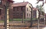 An illustrative photo of electric fences with concrete posts and insulators surrounding the barracks where deportees where held at the Auschwitz concentration and death camp established by the Nazis. (Jack Guez/AFP)
