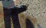 A hole in the road caused by a grenade that was thrown at the Shikma jail in Ashkelon, January 10, 2024. (Israel Prison Service Spokesperson's Unit)