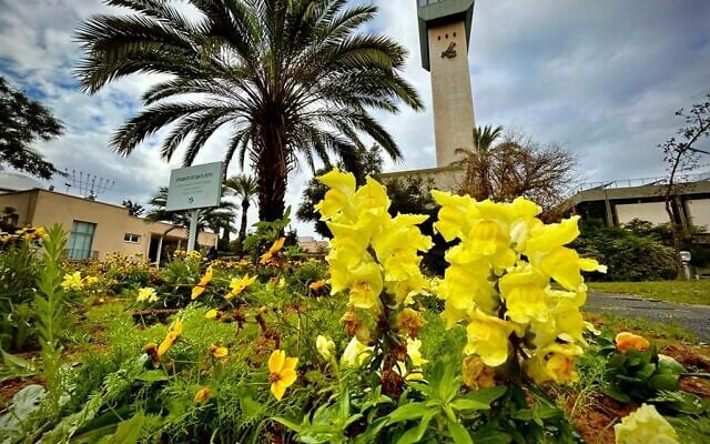 Flowers in bloom at a garden planted at Bar-Ilan University in commemoration of the victims of the October 7, 2023 Hamas assault into southern Israel, on Thursday, January 11, 2024. (Alon Korngreen, Bar-Ilan University) Flowers in bloom at a garden planted at Bar-Ilan University in commemoration of the victims of the October 7, 2023 Hamas assault into southern Israel, on Thursday, January 11, 2024. (Alon Korngreen, Bar-Ilan University)