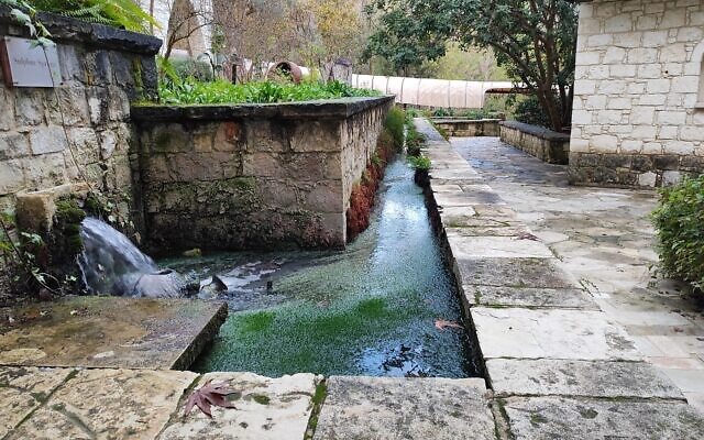 Courtyard spring at the Secret Forest retreat center in Cyprus, on January 19, 2024. (Gavriel Fiske/TOI)
