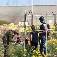 Nasreen Youssef filmed talking to Hamas terrorists near the yard of her home on Moshav Yated, close to the southern Gaza border, October 7, 2023. (Screenshot taken from Channel 12/Keshet TV, used in accordance with Clause 27a of the Copyright Law).