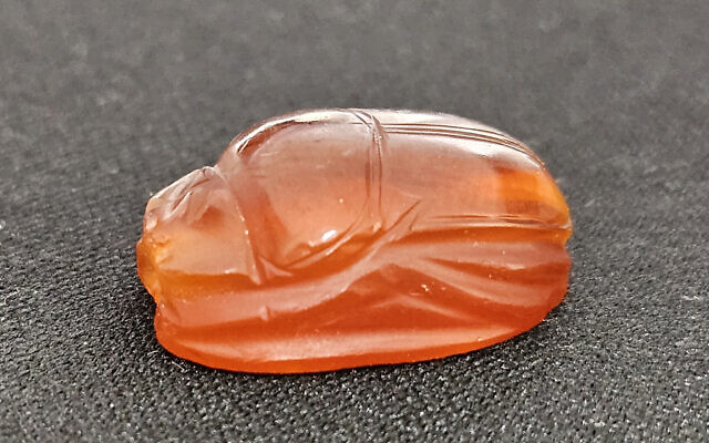 Beetle shaped, 2,800 year old scarab seal found in the Lower Galilee, in an image released on February 7, 2024. (courtesy IAA)