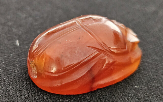 Beetle shaped, 2,800 year old scarab seal found in the Lower Galilee, in an image released on February 7, 2024. (courtesy IAA)