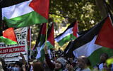 People with placards and flags attend a pro-Palestinian, anti-Israel rally at Hyde Park in Sydney on October 15, 2023. (Saeed Khan/AFP)