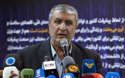 Head of Iran's atomic energy department Mohammad Eslami speaks during a news conference after unveiling domestically-developed nuclear medicines in an exhibition of the country's nuclear achievements, in Tehran, Iran, December 12, 2023. (AP Photo/Vahid Salemi) Head of Iran's atomic energy department Mohammad Eslami speaks during a news conference after unveiling domestically-developed nuclear medicines in an exhibition of the country's nuclear achievements, in Tehran, Iran, December 12, 2023. (AP Photo/Vahid Salemi)