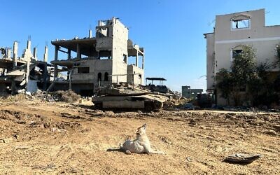 An IDF tank operates south of Gaza City, February 20, 2024. (Lazar Berman/The Times of Israel)