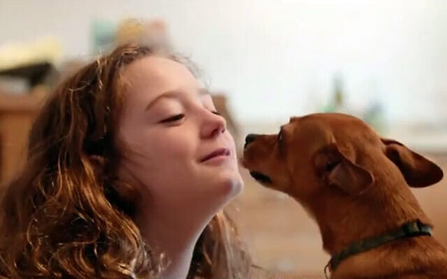 Screen capture from video of released Hamas hostage Emily Hand with her dog. (Screenshot/Channel 12; Used in accordance with Clause 27a of the Copyright Law) Screen capture from video of released Hamas hostage Emily Hand with her dog. (Screenshot/Channel 12; Used in accordance with Clause 27a of the Copyright Law)