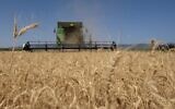For illustration: A farmer harvests wheat in the Hula Valley, northern Israel, May 17, 2023. (Ayal Margolin/Flash90)
