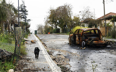 A picture taken during a media tour organized by the Alma Research and Education Centre shows a dog walking past a destroyed car in the deserted northern Israeli town of Metula, near the border with Lebanon, on March 19, 2024. (Jalaa Marey/AFP)