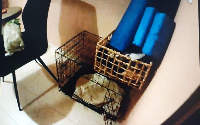 A cage suspected of being used for punishing children, in a photo released by police on March 18, 2024. (Israel Police) A cage suspected of being used for punishing children, in a photo released by police on March 18, 2024. (Israel Police)