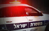 Illustrative: A police car at the scene of a crime. (lunopark / Shutterstock.com)