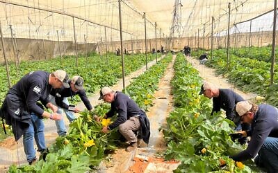 JNF-USA participants volunteering on Israeli farms
