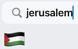 Palestine flag emoji on an Apple device (via Social media)