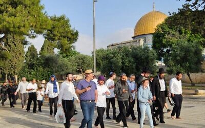 Jewish visitors on the Temple Mount, May 18, 2023. (Courtesy Beyadenu)